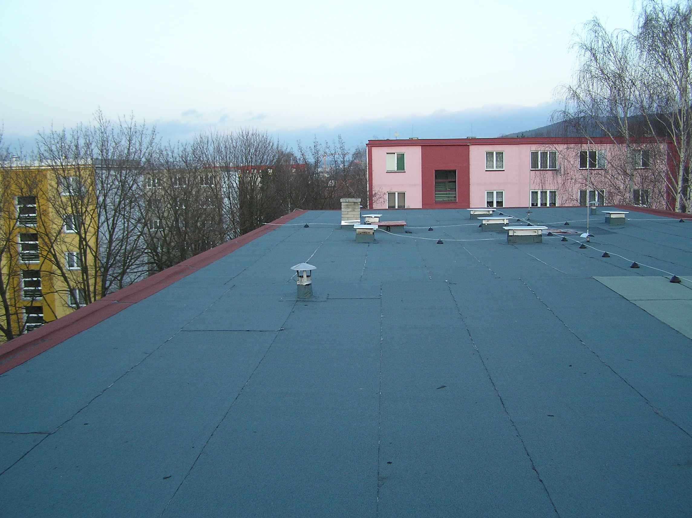 P1010009.JPG