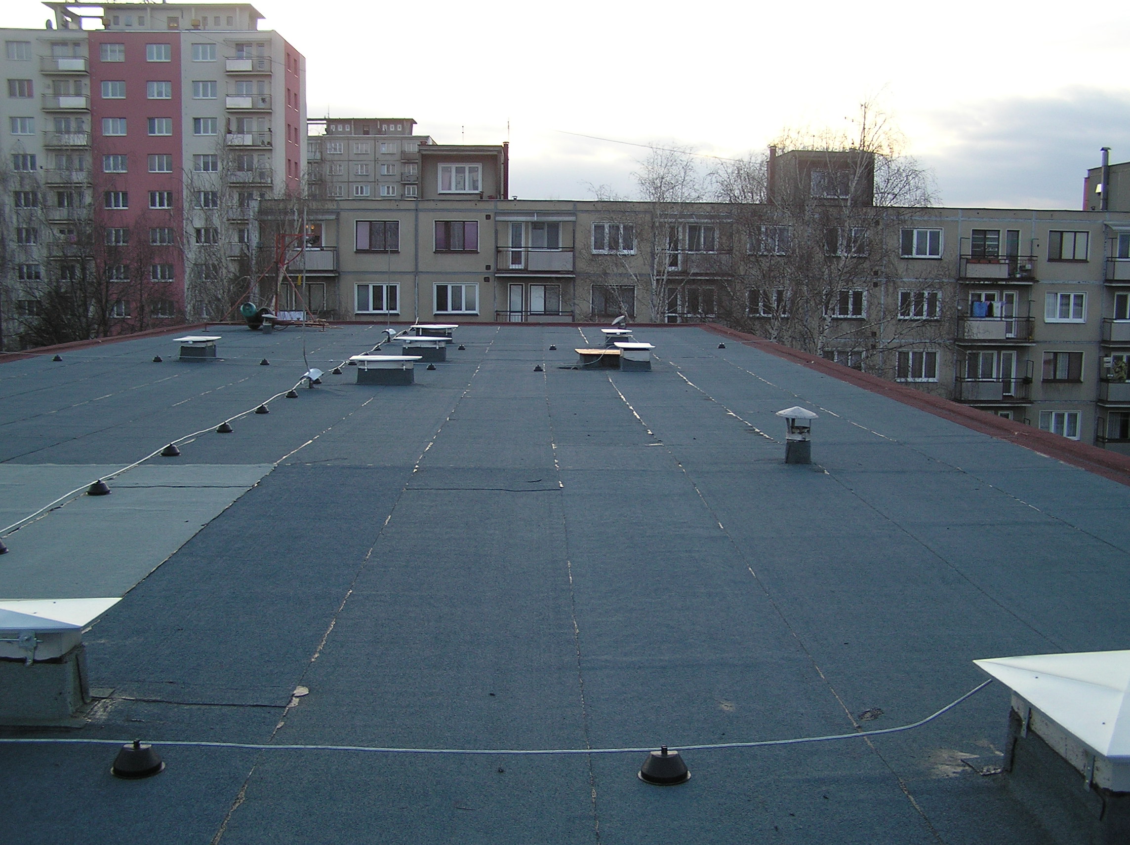 P1010018.JPG