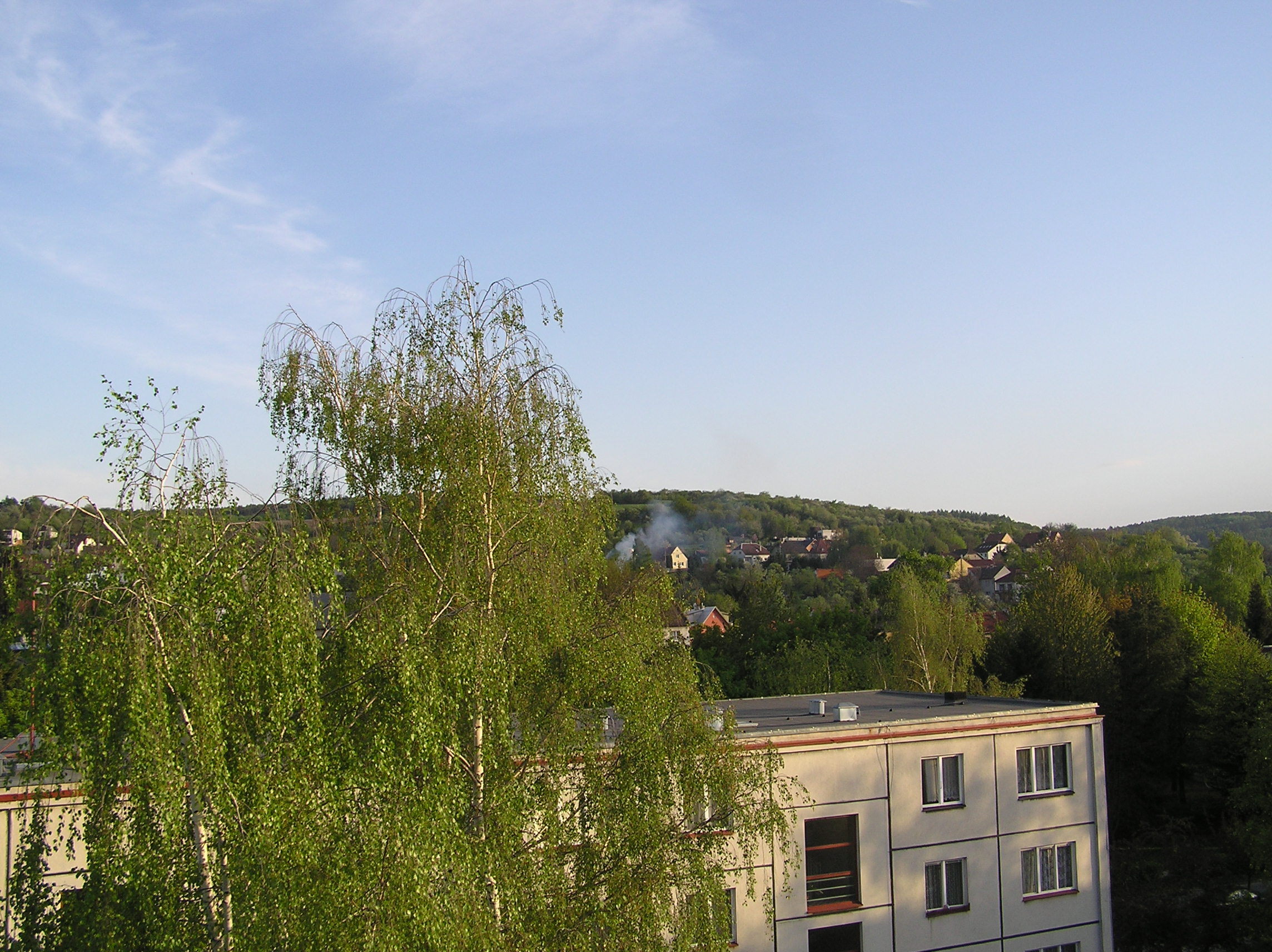 P1010009.JPG
