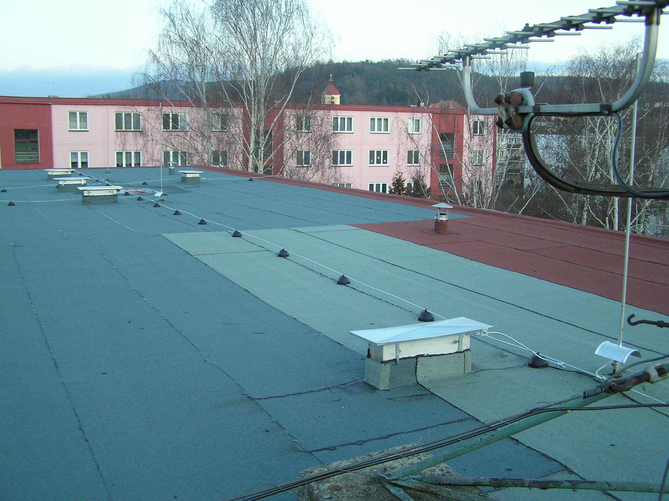 P1010011.JPG