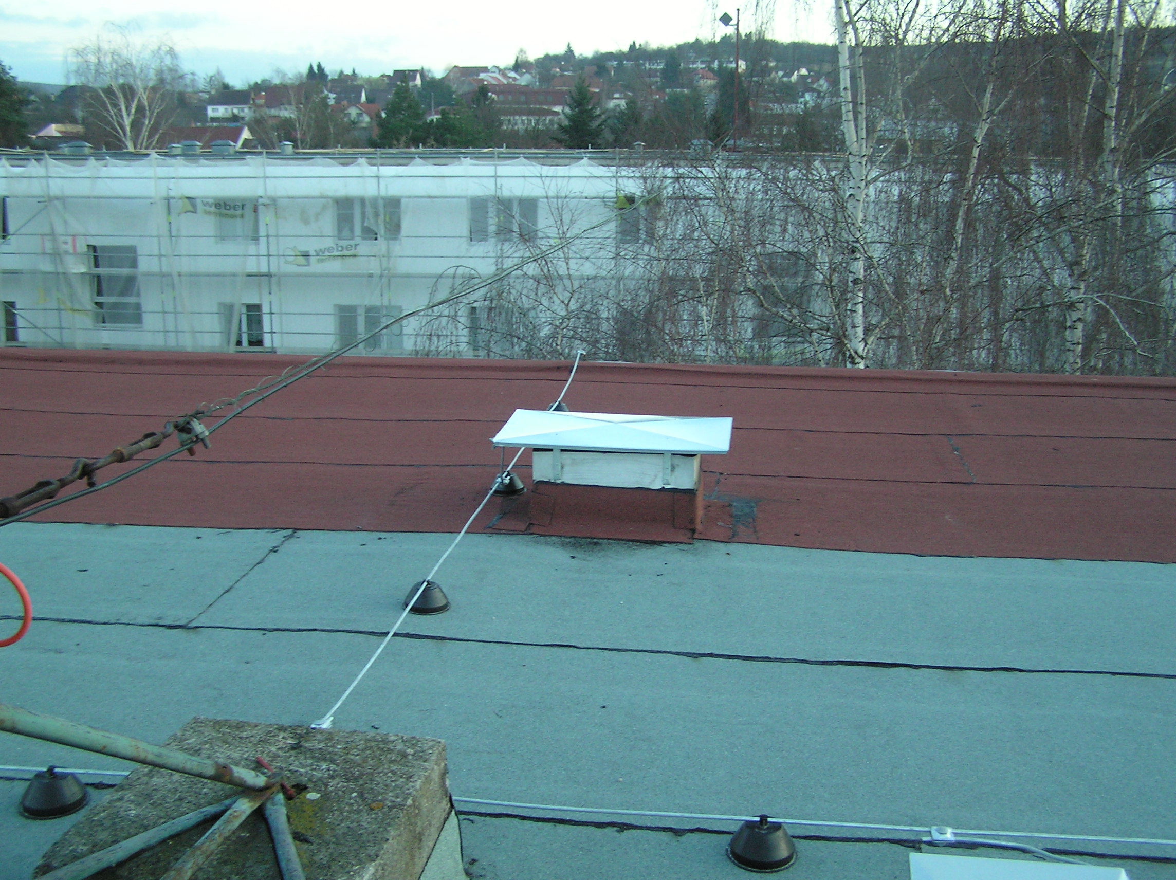 P1010014.JPG