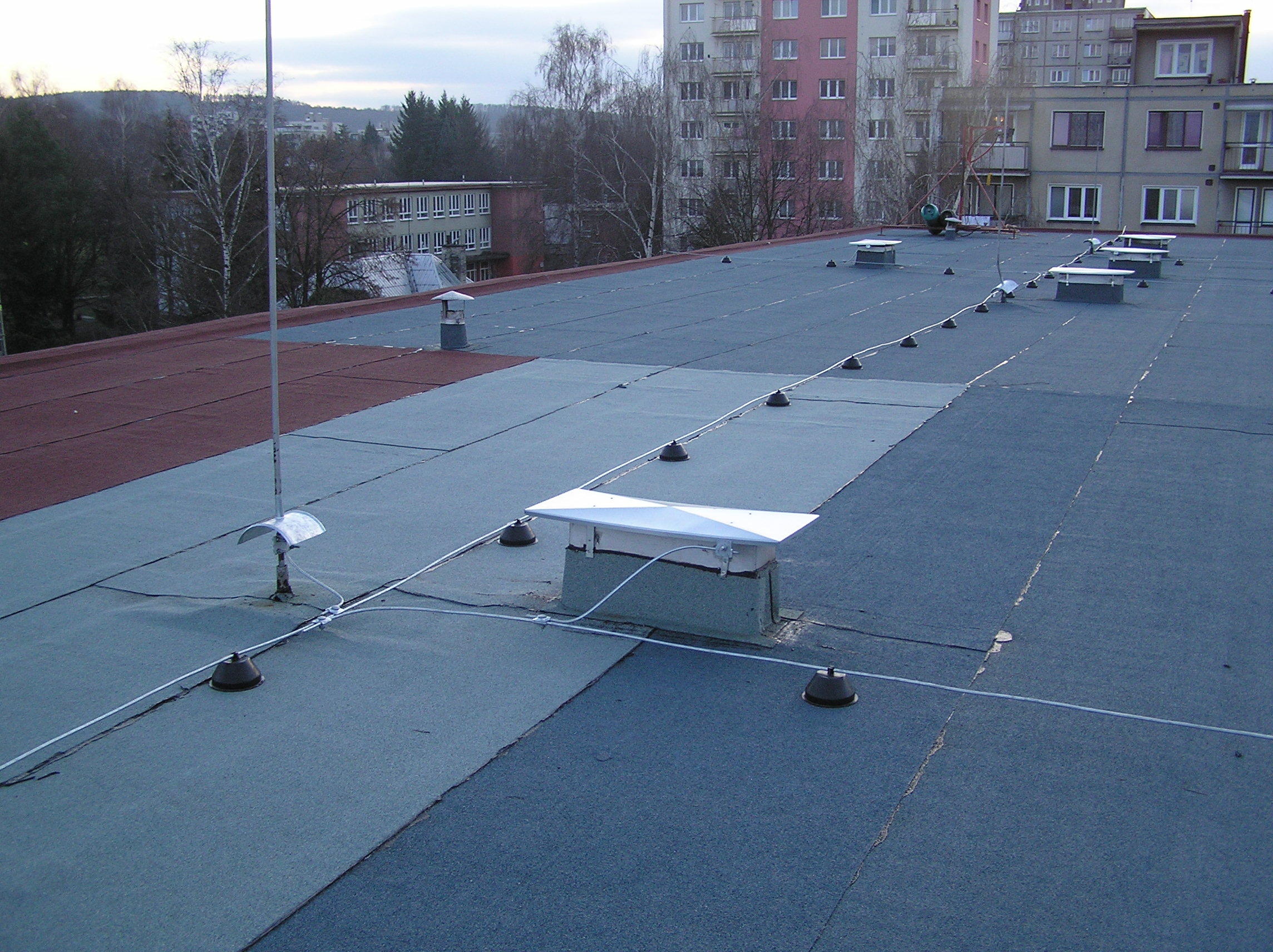 P1010016.JPG