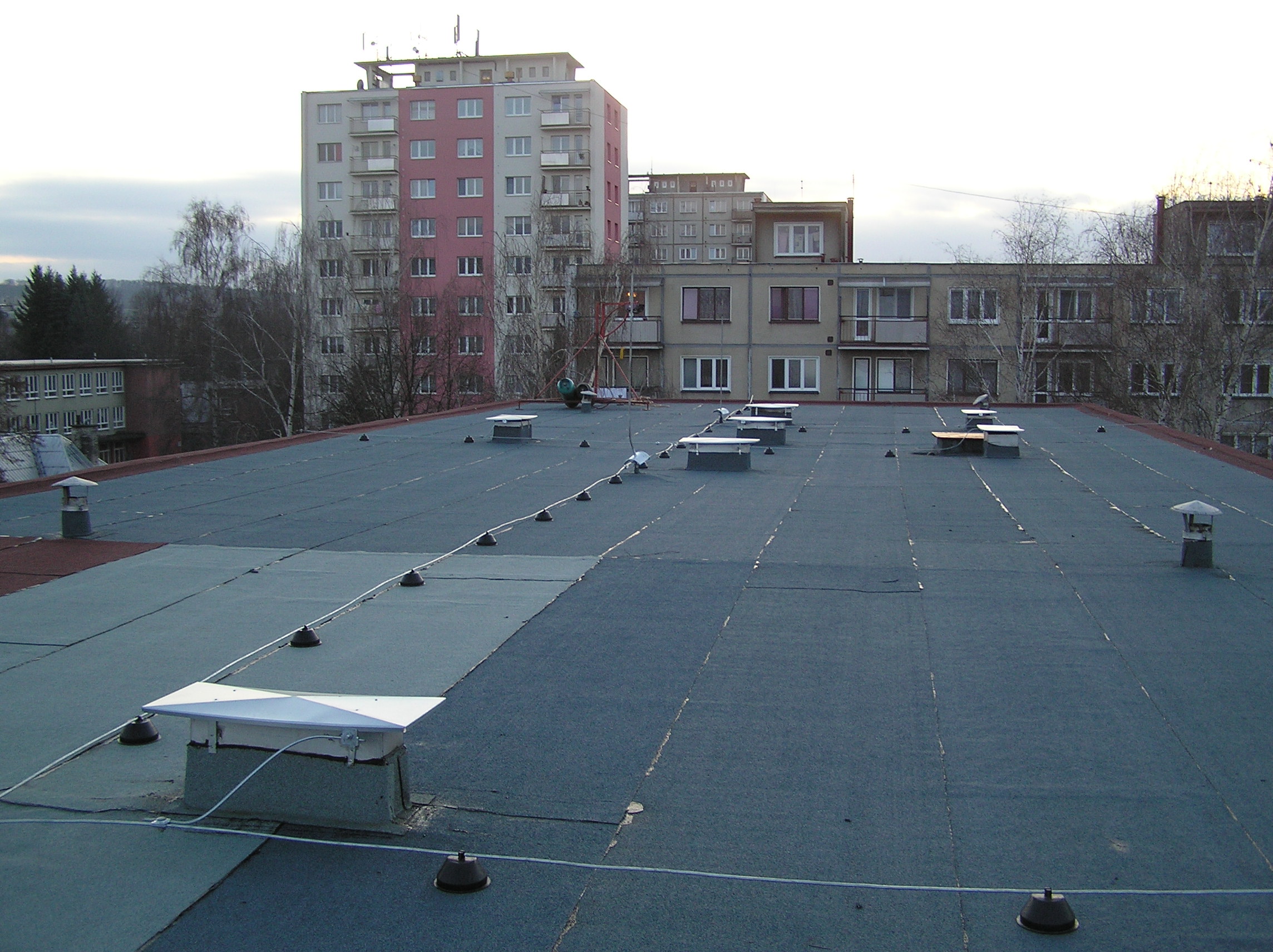 P1010017.JPG